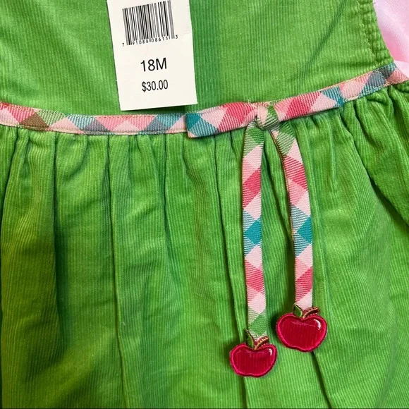 NWT Chantilly Place Green & Pink Dress size 18 months - Picture 5 of 5